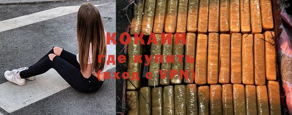 дживик Балахна