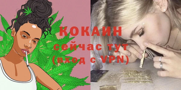 стаф Баксан