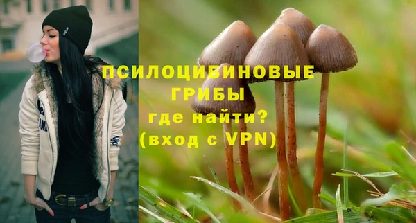 дживик Балахна