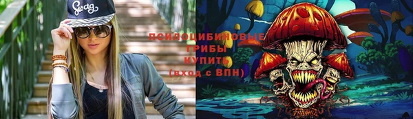 дживик Балахна