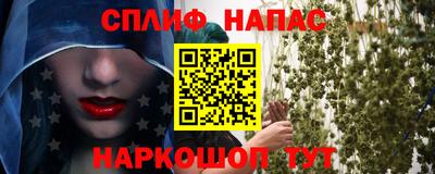 стафф Кинель