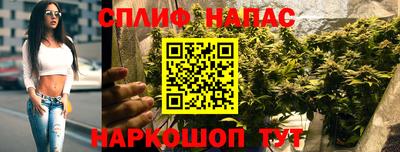 стафф Кинель