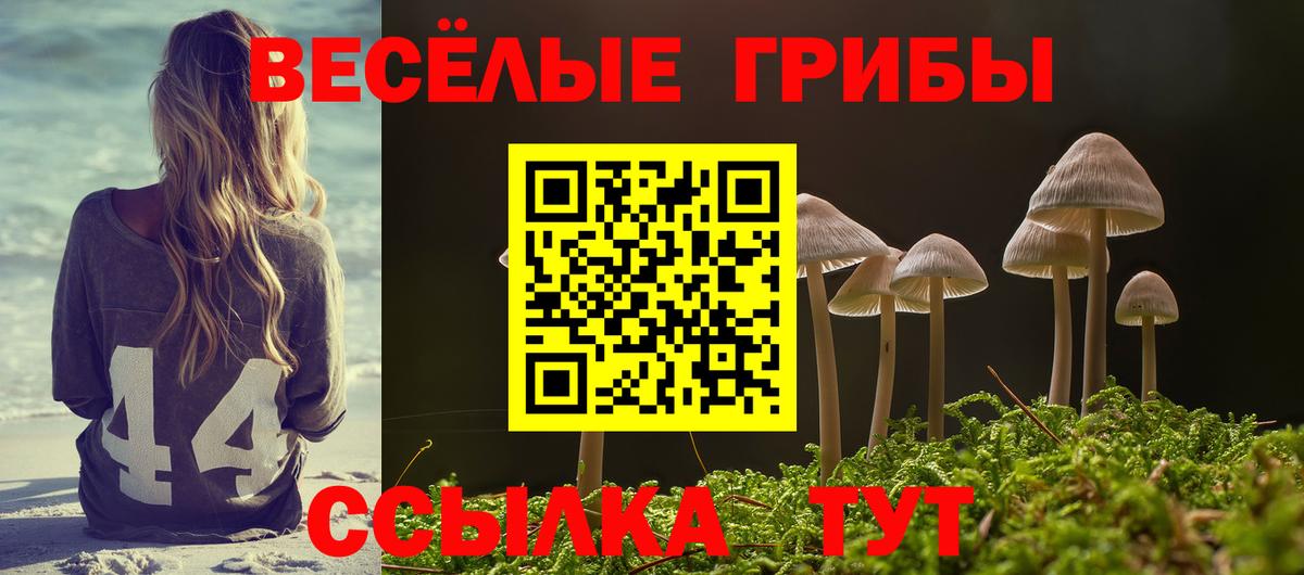 Псилоцибиновые грибы ЛСД  Вход с VPN  Псилоцибиновые грибы MAGIC MUSHROOMS  Коммунар 