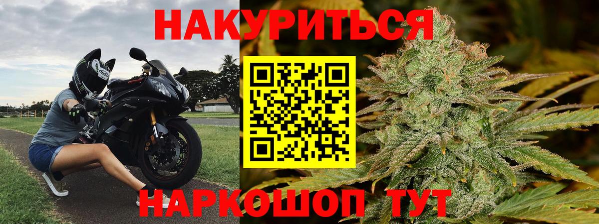 Каннабис OG Kush Коммунар